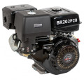 Двигатель 6,5 л.c. d=19мм. Brait BR202P19PRO 03.01.151.035 в Иваново