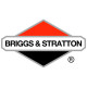 Двигатели Briggs-Stratton в Иваново