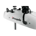 Электромотор HAIBO IPENGUIN P65 GPS 12V 53" (площадка+компас) в Иваново