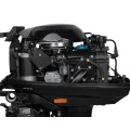 Мотор Marlin MP30AWRS в Иваново